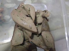 -荣昌卤鹅(义乌商贸城店)