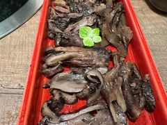 -蘑界·野生菌火锅(深业上城店)