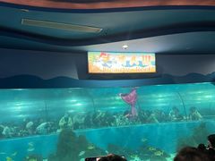 -苏州海洋馆