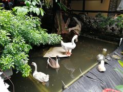 -优之名鹅城