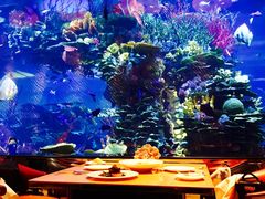 -迪拜帆船酒店海底餐厅