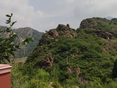 -燕塞湖鸟语林景区