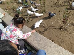 -朝阳公园游乐园