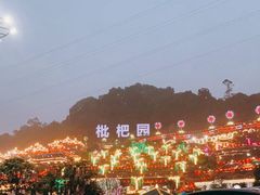 -枇杷园食为鲜火锅(南山店)