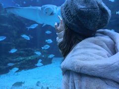 -海合安成都极地海洋公园