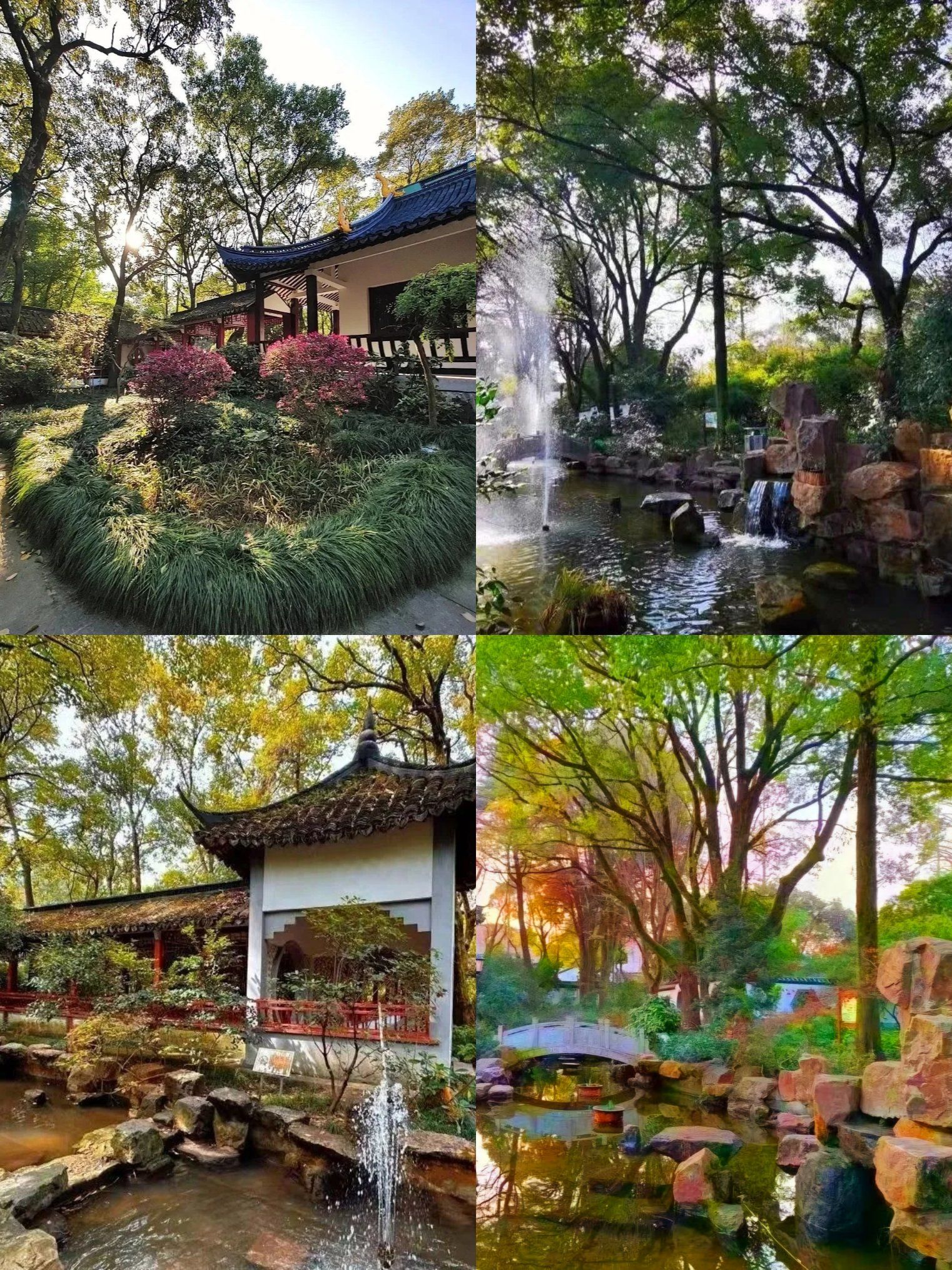 🌳探秘上海古典园林,免费游!