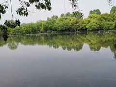 -西湖游船