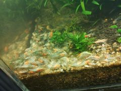 -白浪花漂流