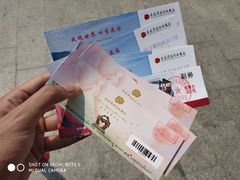 -亚龙湾国际玫瑰谷