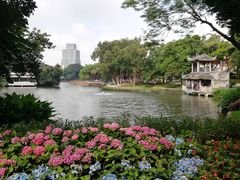 -荔湾湖公园