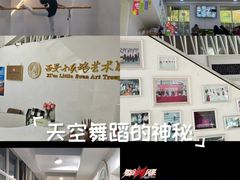 -西安小天鹅艺术团(曲江Alice店)