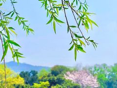 -玄武湖景区-情侣园游乐场