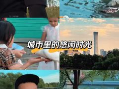 -望湖公园