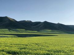 -扁都口生态休闲旅游区