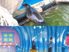 -华夏文旅海洋公园