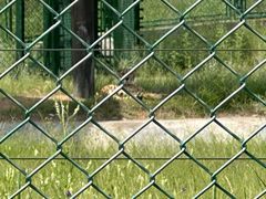 -鄂尔多斯野生动物园