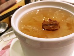 海底椰雪耳糖水-池记(尖沙咀店)