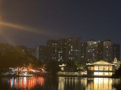 -荔湾湖公园