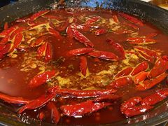 -阳阳老火锅(小南门店)