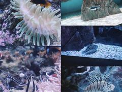 -成都浩海立方海洋公园