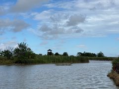 -盐城丹顶鹤湿地生态旅游区