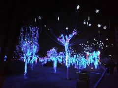-雁滩公园