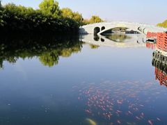 -西安汉城湖景区