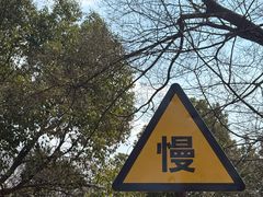 -南京市江宁方山