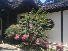 -上海醉白池公园