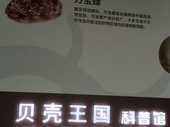 -贝壳王国博物馆