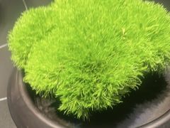 -海立阁海鲜江浙菜(漕河泾印象城店)