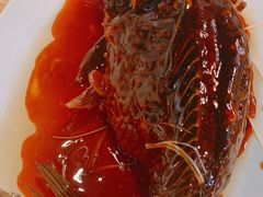 罾蹦鲤鱼-陈傻子餐厅(世纪都会店)