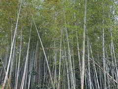 -旺山·浪头人家