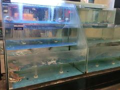 水产区-旺顺阁鱼头泡饼(小红门店)