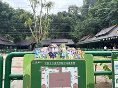 -野象谷景区