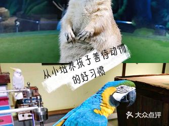 善待小动物就从娃娃抓起，走进动物科普世界