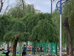 -第三少儿业余体校(朝阳区东四环中路辅路店)