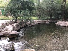 -百脉泉景区