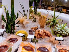 -OUR Bakery(SKP-S店)