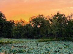 -西溪国家湿地公园