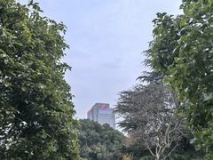 -上海虹桥迎宾馆