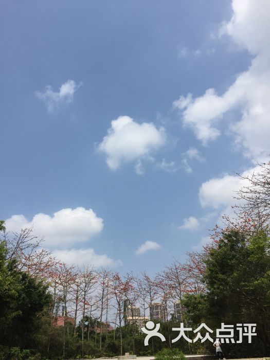 流塘公园-图片-深圳周边游-大众点评网