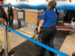 -奥黑尔国际机场