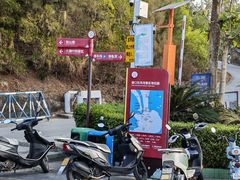 -广东惠东海龟国家级自然保护区