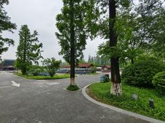 -黄海国家森林公园