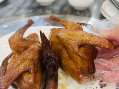 -鸽鸟轩(石岐店)