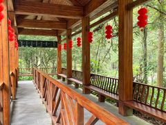 -姑婆山旅游区