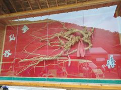 -参仙谷生态旅游度假区