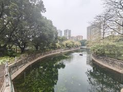 -晓港公园
