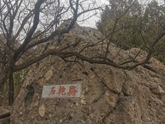 -阳台山自然风景区